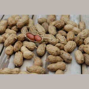 Peanut 'Big Pink' Seeds