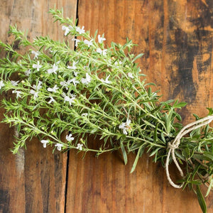 Savory 'Summer Midget' Seeds