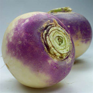 Swede Heirloom 'Laurentiah' Seeds