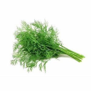 Dill ‘Dukat’ Seeds