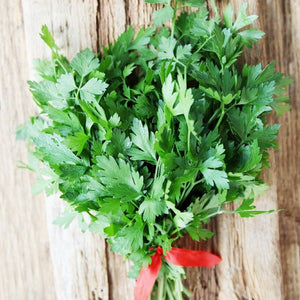 Parsley 'Italian' Seeds