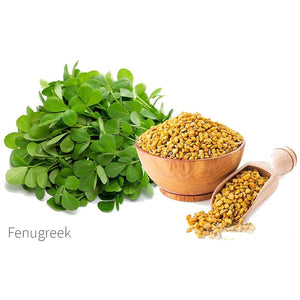 Fenugreek Seeds