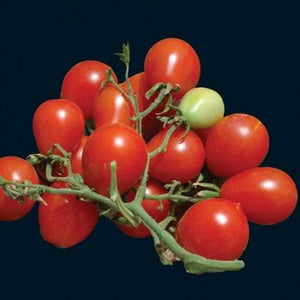 Tomato 'Reisentraube' Seeds