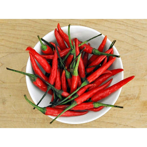 Chilli 'Bird's Eye' Seeds
