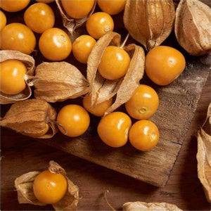 Goosberry 'Golden Nuggett' Seeds
