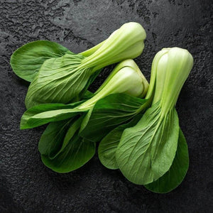 Pak Choi 'Choko Green' Seeds