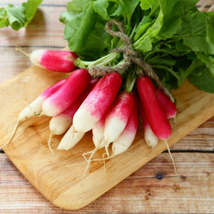 Radish 'French Breakfast' Seeds