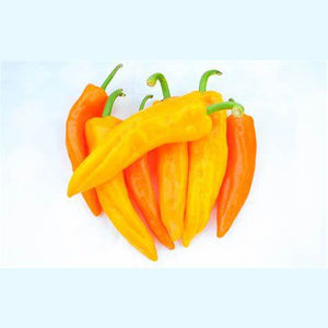 Capsicum 'Marconi Gold' Seeds