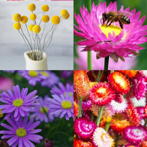 'Australian Native Sprinkle Mix' Seeds