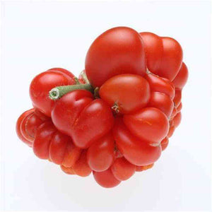 Tomato 'Reistomate' Very Rare & Unusual Seeds
