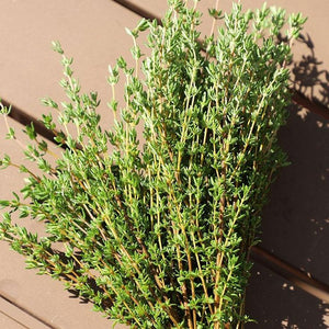 Thyme ‘Ayelet - Pot Type’ Seeds