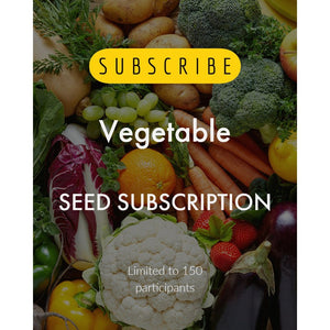 12 Months PREPAID ~ The Seed Club *Vegetable* Monthly Seed Subscription