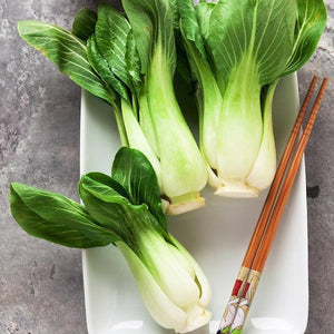 Baby Bok Choy Seeds