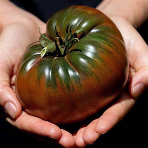 Tomato 'Black Krim' Seeds