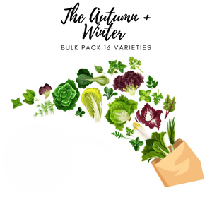 Autumn & Winter Seed Bulk Pack - 16 Varieties