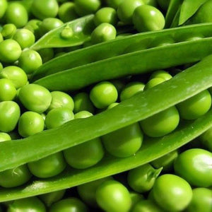 Pea 'Early Crop Masey' Seeds