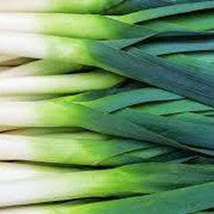 Leek 'Musselburgh'