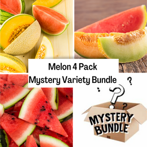 Melon 4 Pack Mystery Variety Bundle