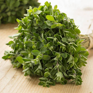 Marjoram Hortensis Sweet Seeds