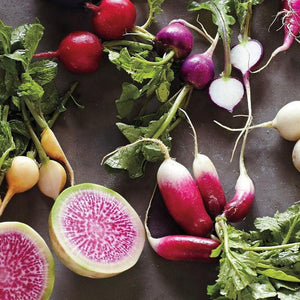Radish 'Mixed Pack' Seeds