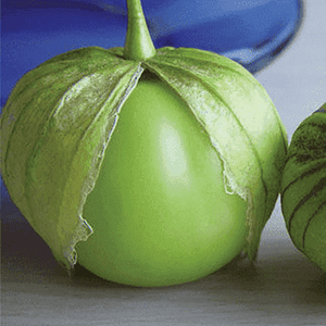 Tomatillo 'Verde Puebla' Seeds
