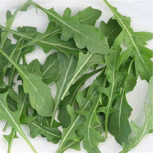 Rocket 'Wild' Seeds