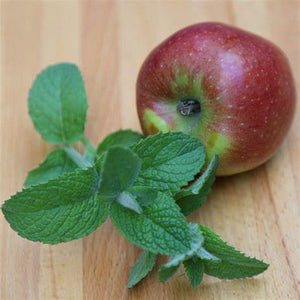 Mint 'Apple Mint' Seeds