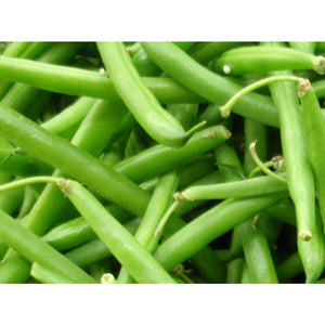 Bean 'Bonaparte Dwarf' Seeds