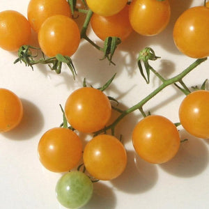 Tomato 'Broad Ripple Yellow Currant' Seeds