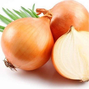 Brown Onion 'Gladalan' Seeds