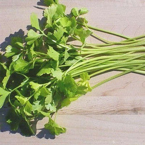 Celery 'Light Green'