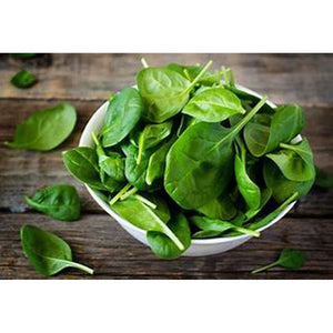 Spinach 'Carmel' Seeds