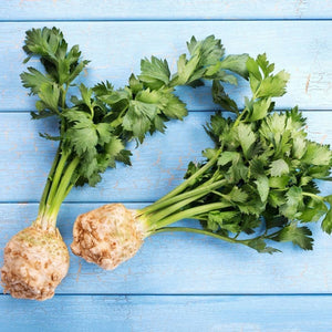 Celeriac 'White Alabaster' Seeds