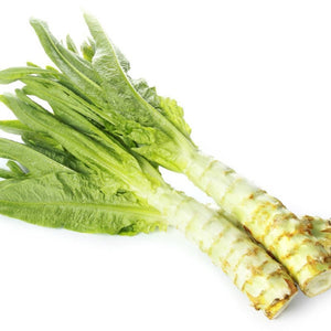 Celtuce Seeds