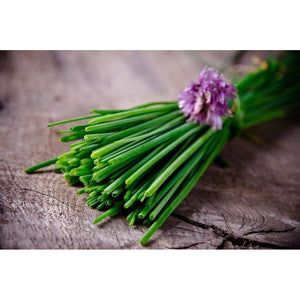 Chives 'Medium' Seeds