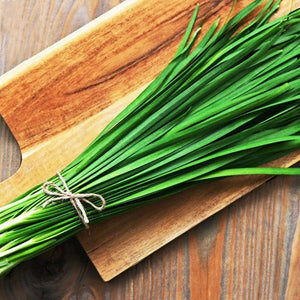 Chives 'Garlic' Seeds