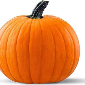 Pumpkin 'Golden Nugget' Seeds