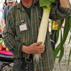 Leek Elephant Heirloom
