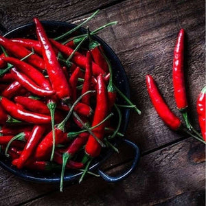 Chilli ‘Heirloom Cayenne’ Seeds
