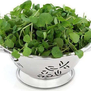 Cress 'Water/Aqua' Seeds