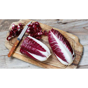Radicchio ‘Palla Rossa’