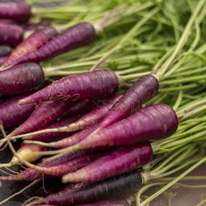 Carrot ‘Cosmic Purple' Seeds
