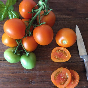 Tomato 'Juanne Flame' Seeds