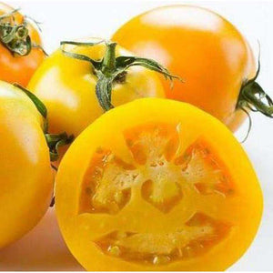 Tomato 'Jubilee Yellow' Seeds