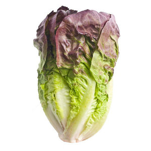 Lettuce 'Romaine Red' Seeds