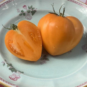 Tomato 'Yellow Oxheart' Seeds