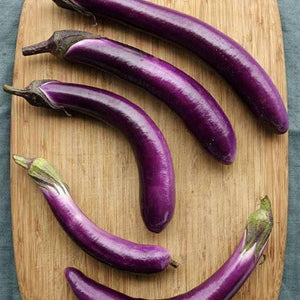 Eggplant 'Ping Tung Long' Seeds