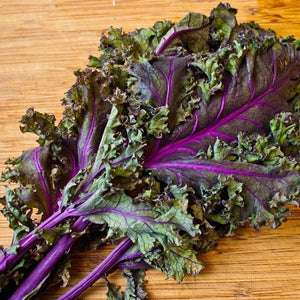 Kale 'Red Russian' Seeds
