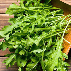 Rocket ‘Greens’ Seeds