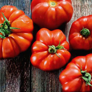 Tomato 'Rouge Marmande Regular' Seeds